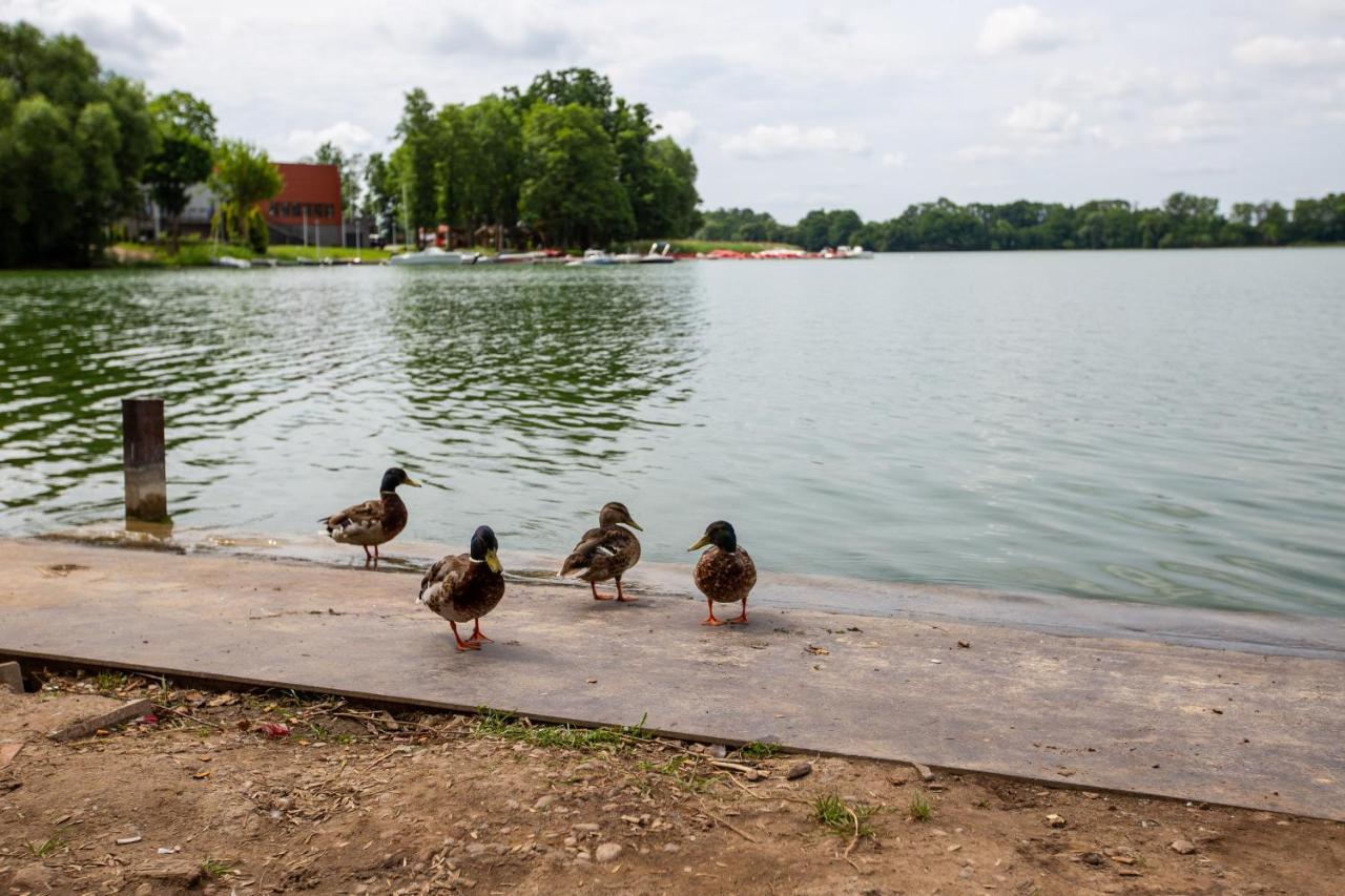 Noclegi U Zabki Ełk Exterior foto